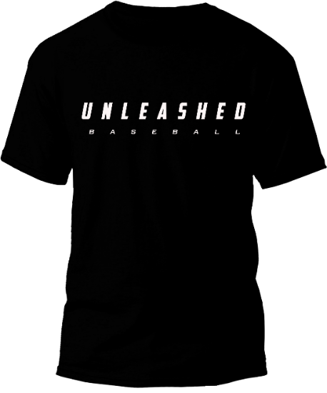 Dry Fit Training HQ Unleashed Tee (Black)